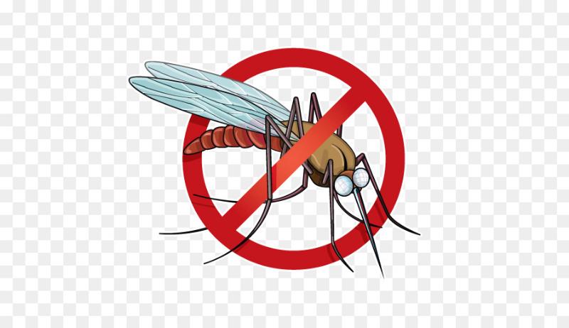 https://img2.freepng.ru/20180716/vle/kisspng-world-malaria-day-vector-antimalarial-medication-d-5b4d5b813e8258.8771714015317963532561.jpg