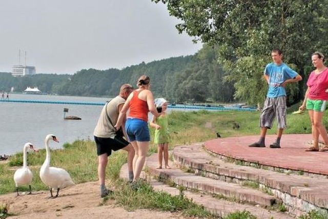 Озеро Нарочь не будет закрыто для купания из-за церкариоза | Здоровье | АиФ  Аргументы и факты в Беларуси